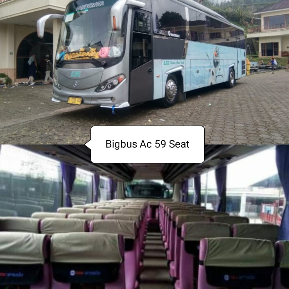 Sewa Big Bus