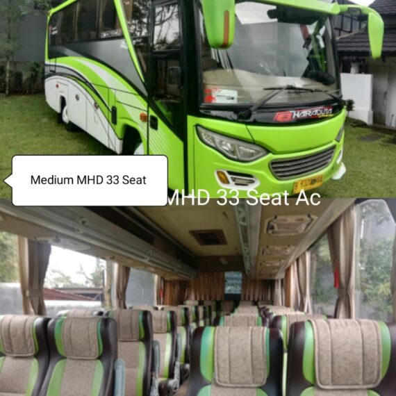Sewa Medium Bus